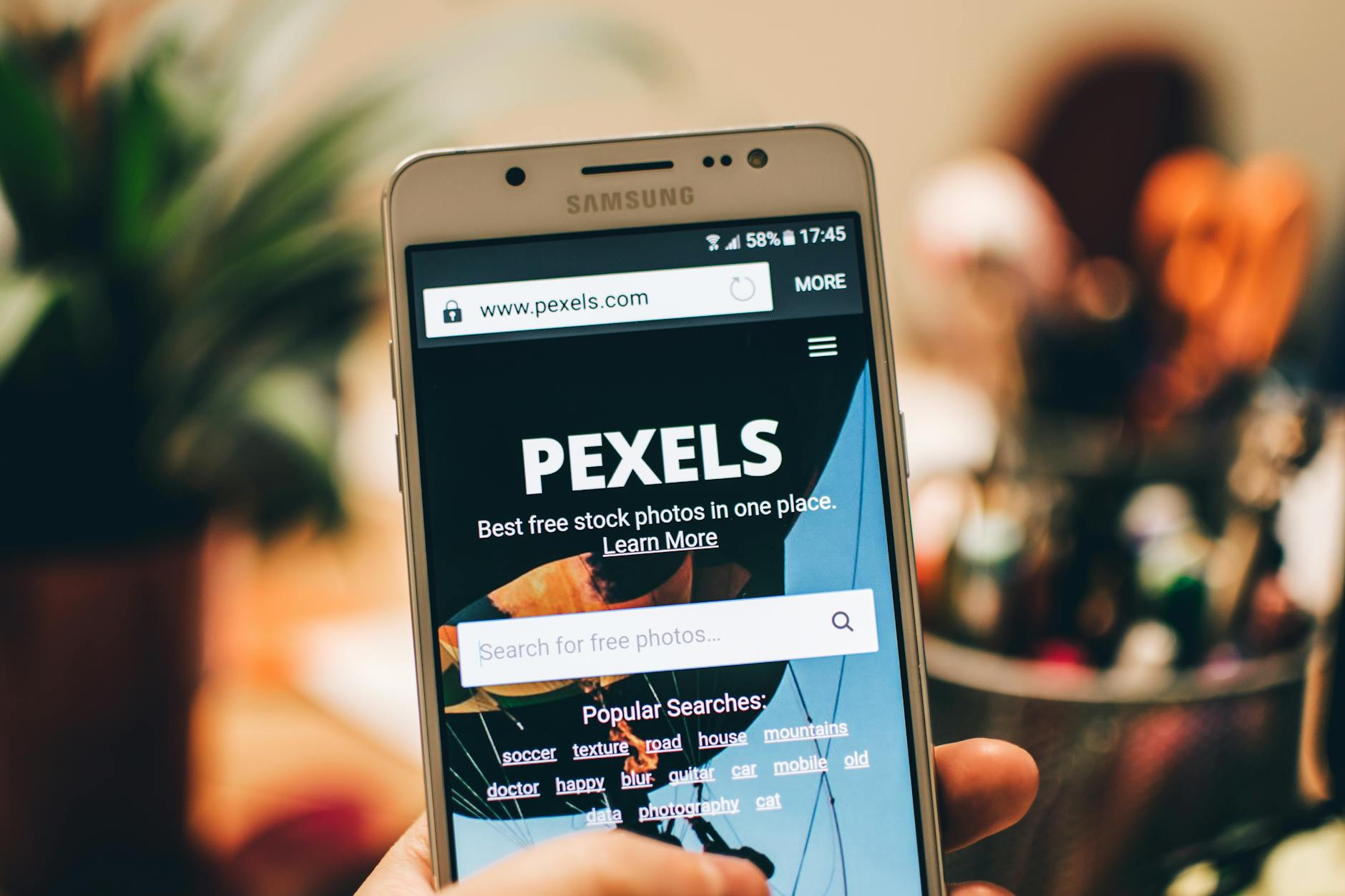 wordpress website maintenance services - A close-up view of a smartphone displaying the Pexels website screen for stock photo searches.