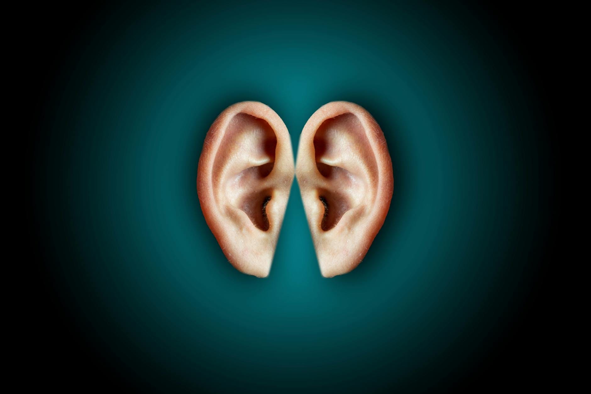 otoritas domain - Creative unusual composition of human ears arranged close on center of dark blue background